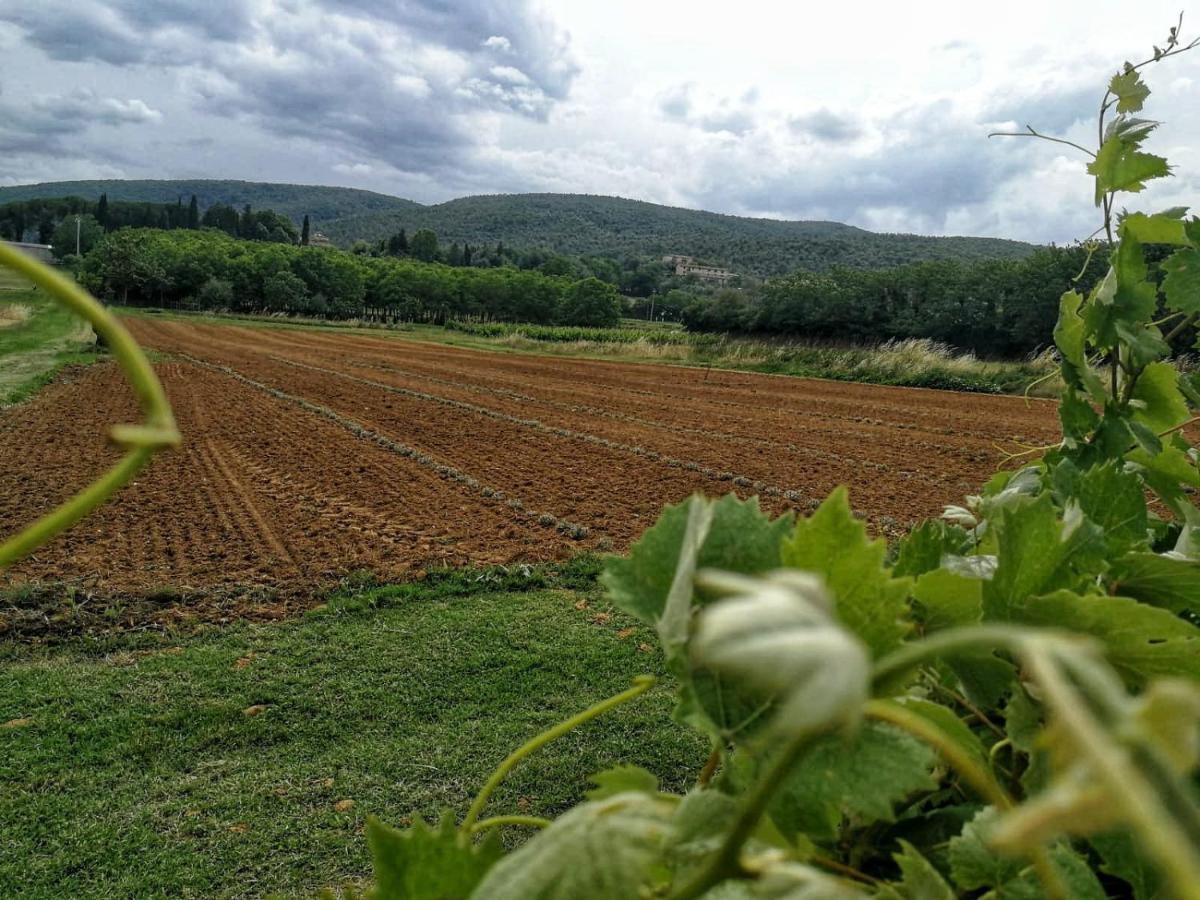 Claudia Vacanza Toscana - Appartamento Nocciolo- 10 Min Da Siena Malignano المظهر الخارجي الصورة